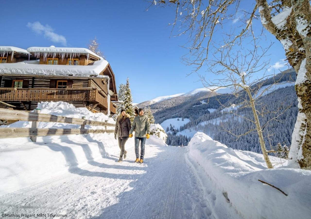 Alpstay "Eulennest" - Kaernten Card Sommer Inklusive באד קליניקירשהיים מראה חיצוני תמונה